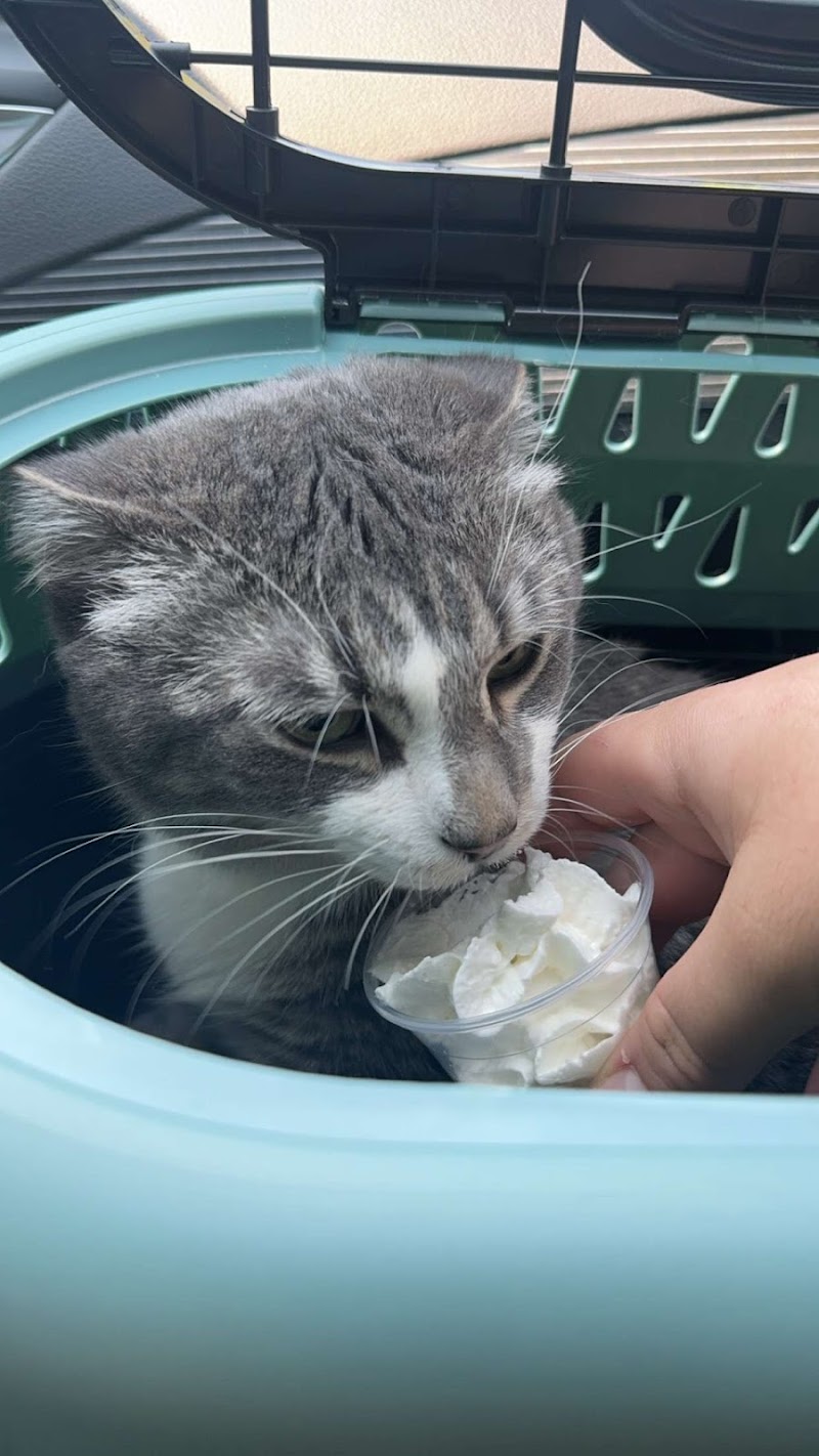 South Hyland Pet Hospital photo 2