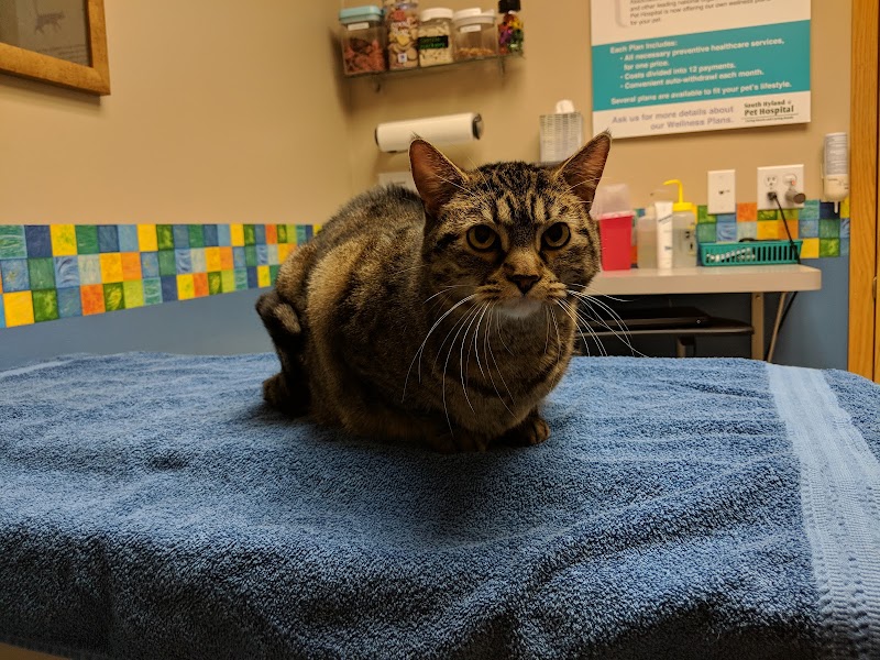 South Hyland Pet Hospital photo 3