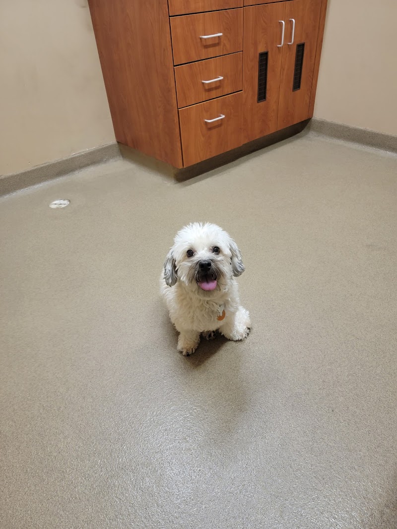 Hales Corners Veterinary Clinic photo 2