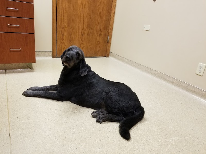 Hales Corners Veterinary Clinic photo 3