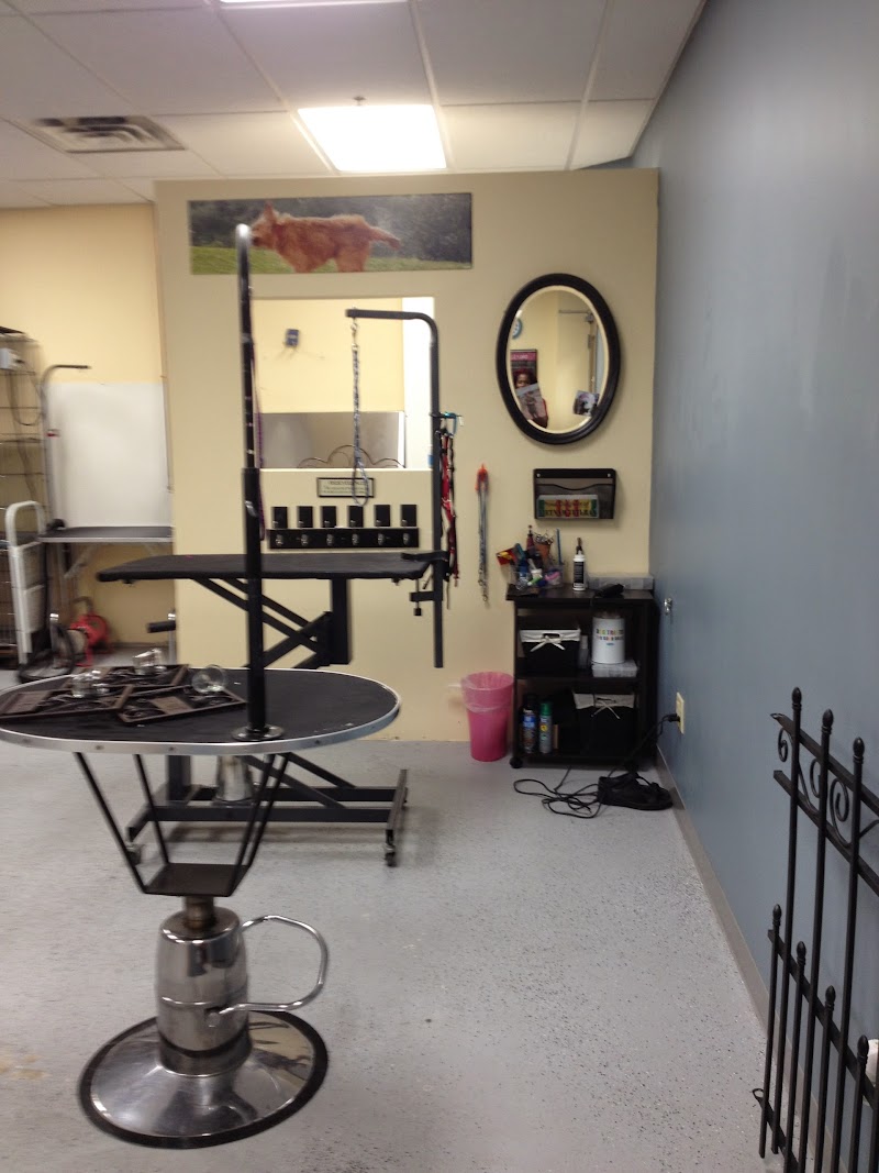 The Good Pet Groomer photo 3