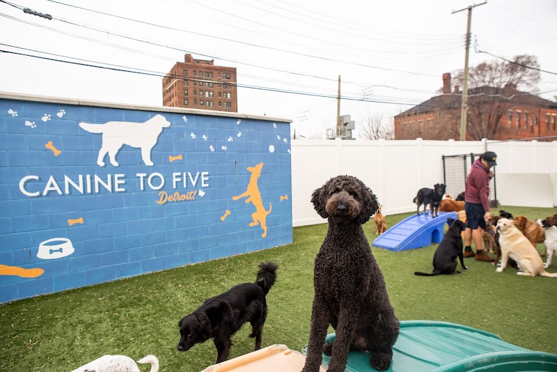 Canine To Five-Midtown Detroit photo 3