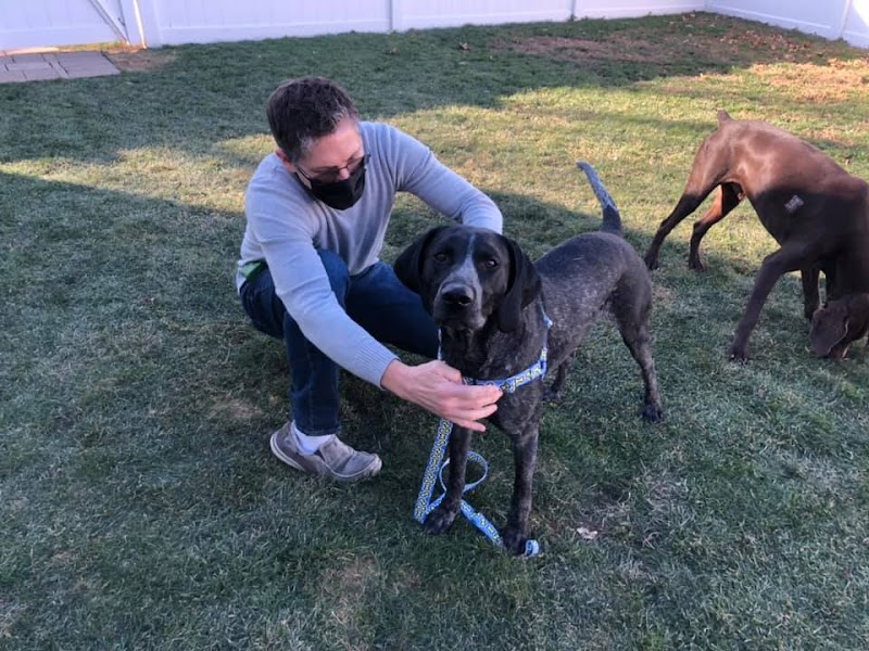 Tailchasers Pet Care