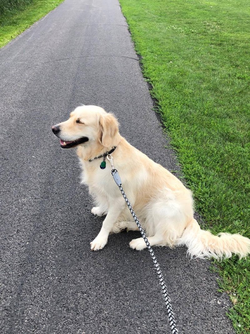 Tailchasers Pet Care photo 3