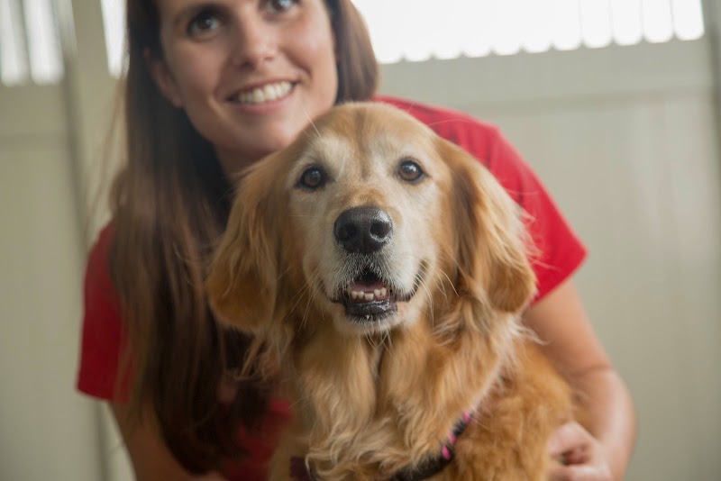 Camp Bow Wow photo 2