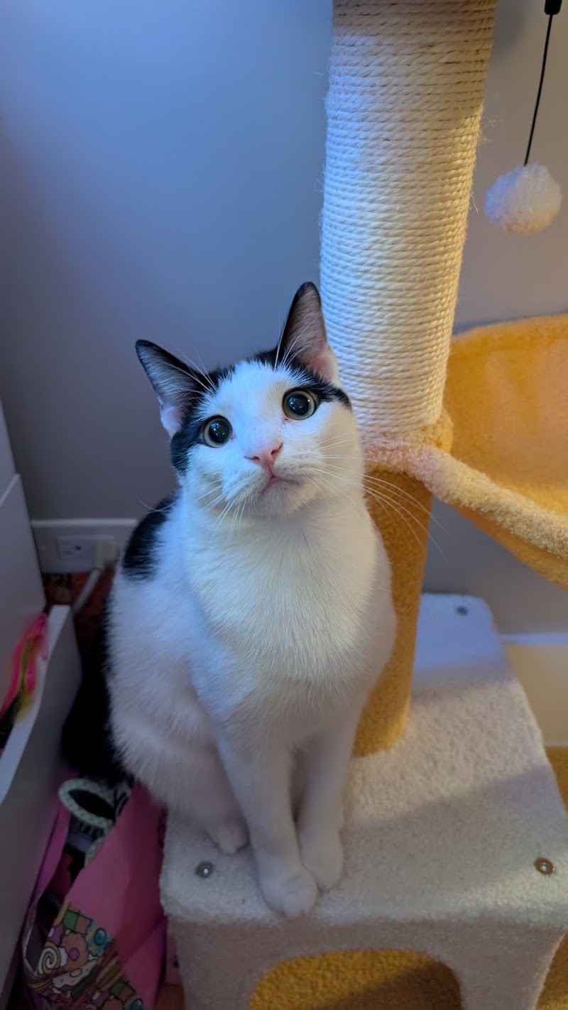 Tree House Humane Society photo 3