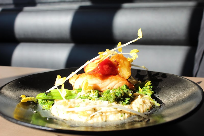 Wolf Pack Chorus photo 2