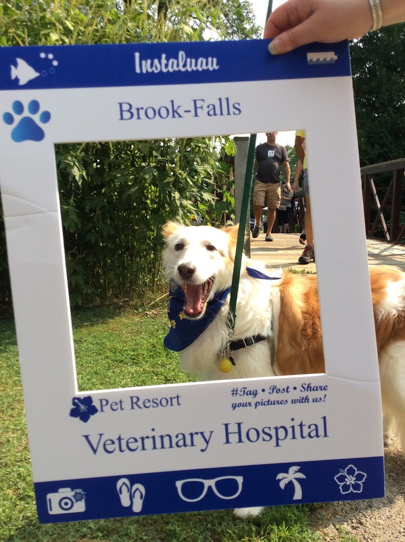 Brook-falls Veterinary Hospital & Exotic Care photo 2