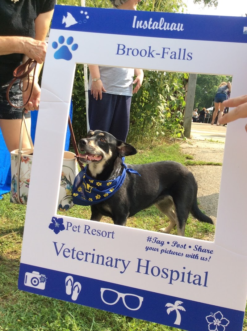 Brook-falls Veterinary Hospital & Exotic Care photo 3