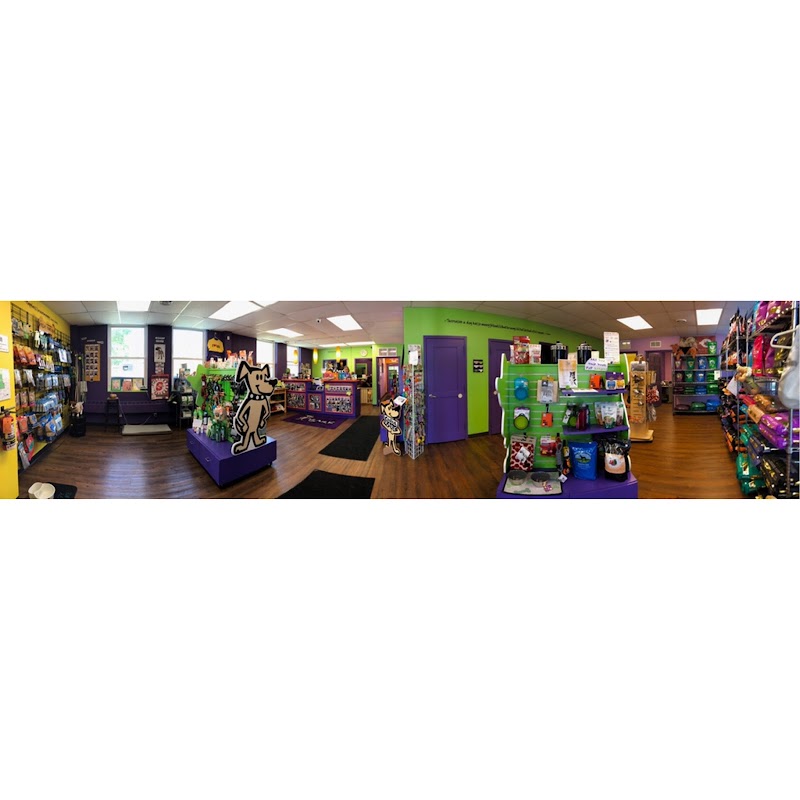 Central Bark Eastside photo 2