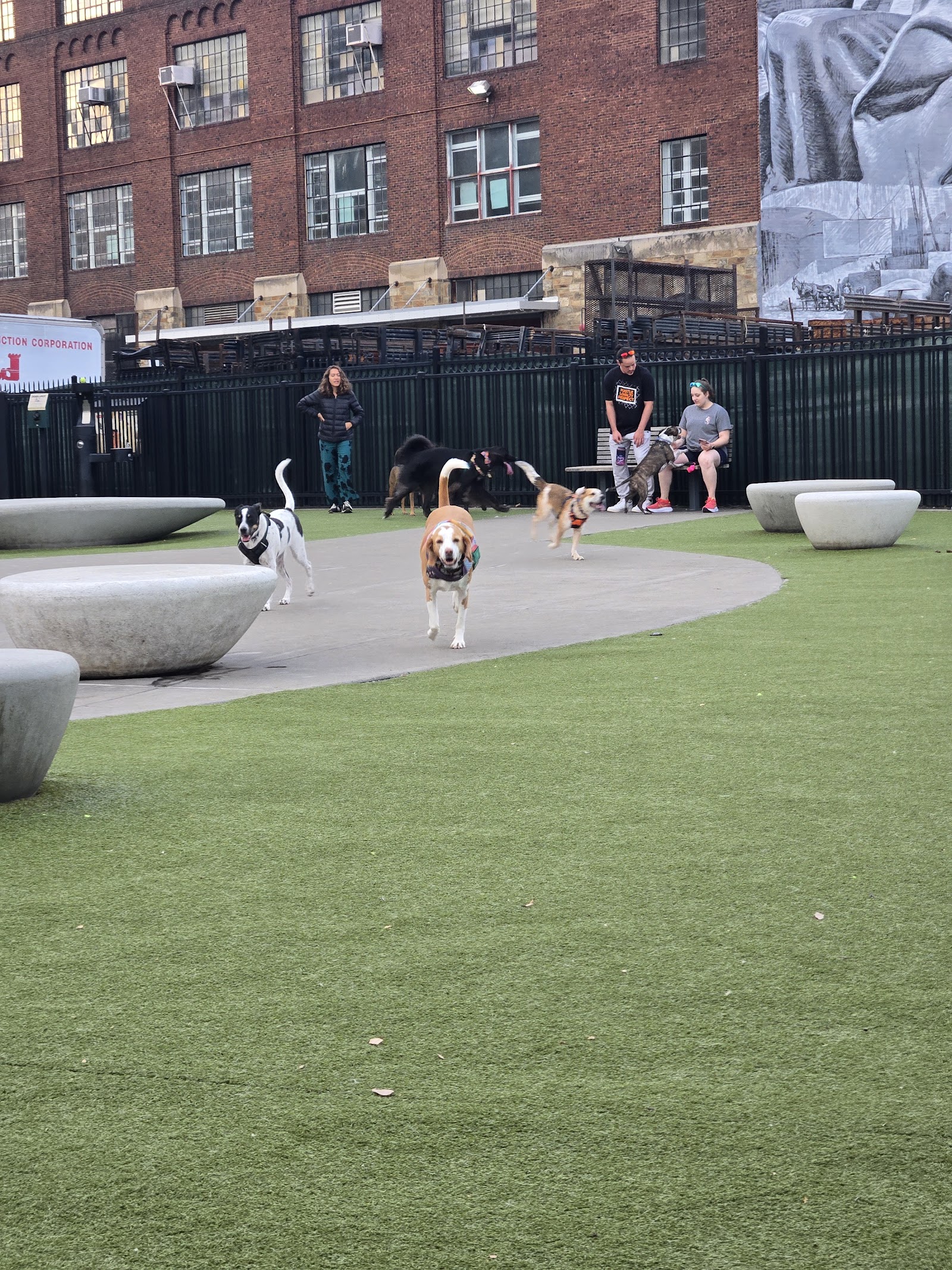 Eckington Dog Park