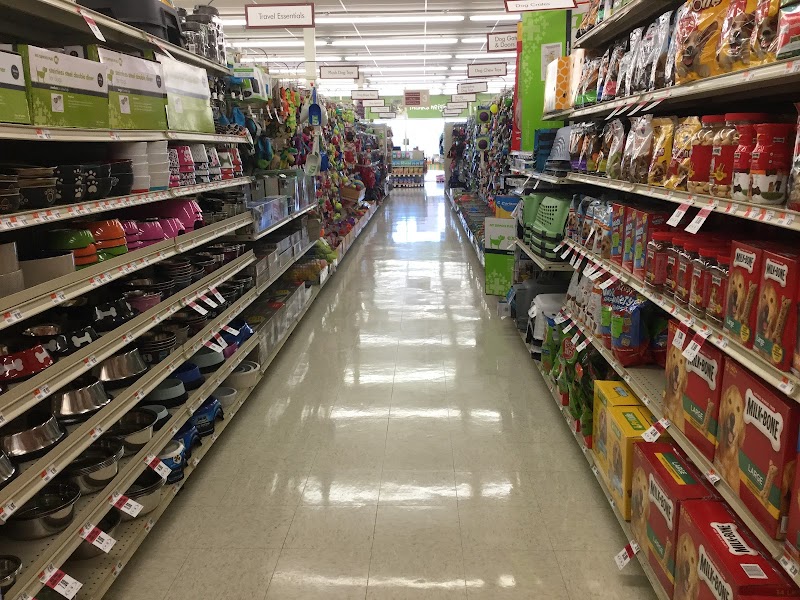 Love Comes First Pet Care photo 2