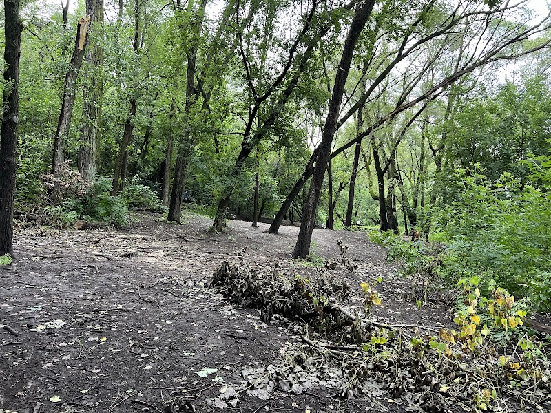 Woodview Off Leash Dog Area