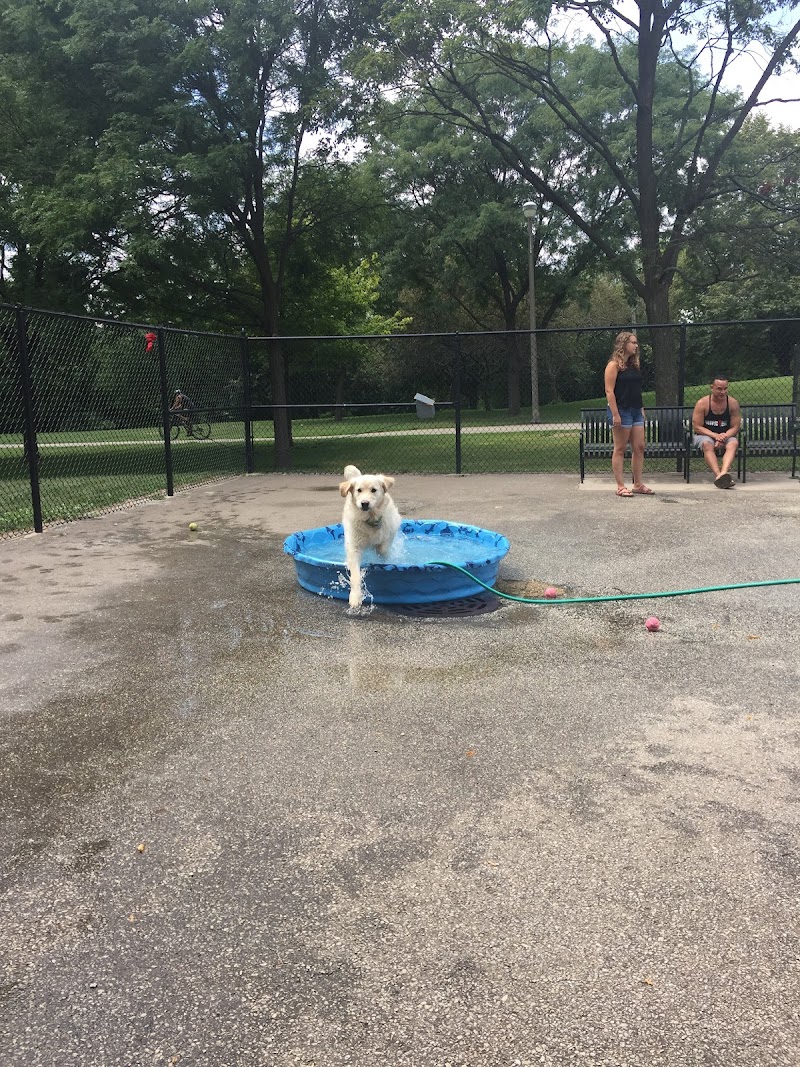 River Dog Friendly Area