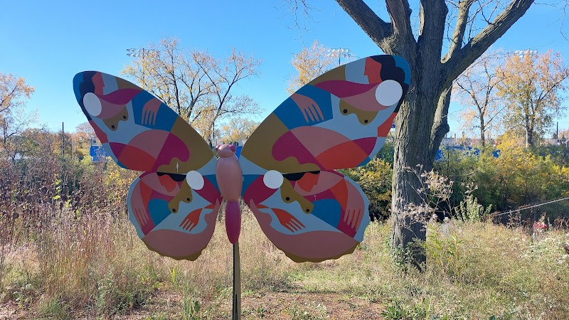 River Dog Friendly Area photo 2