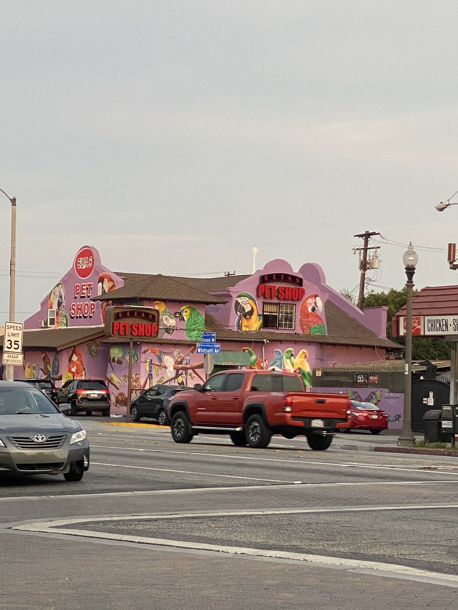 Elias Pet Shop