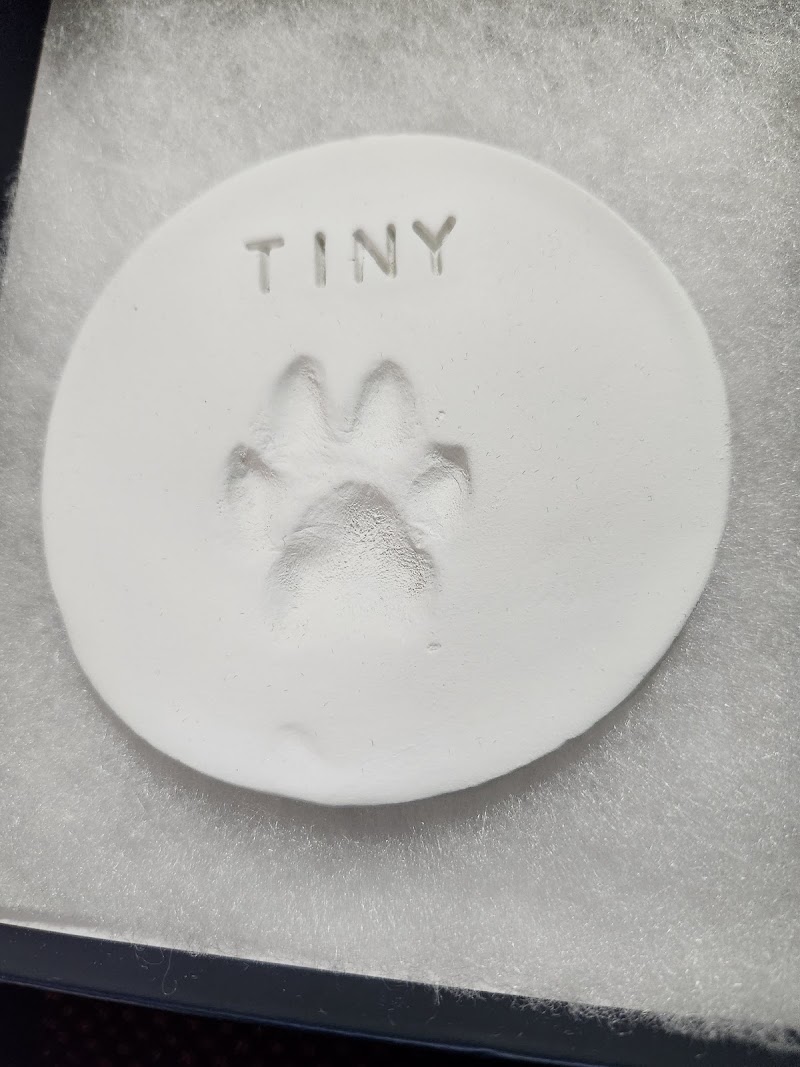 Emergency Animal Hospital: Saucedo Nicole DVM photo 2