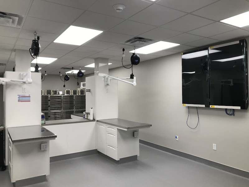 Emergency Pet Clinic of Longmont photo 2