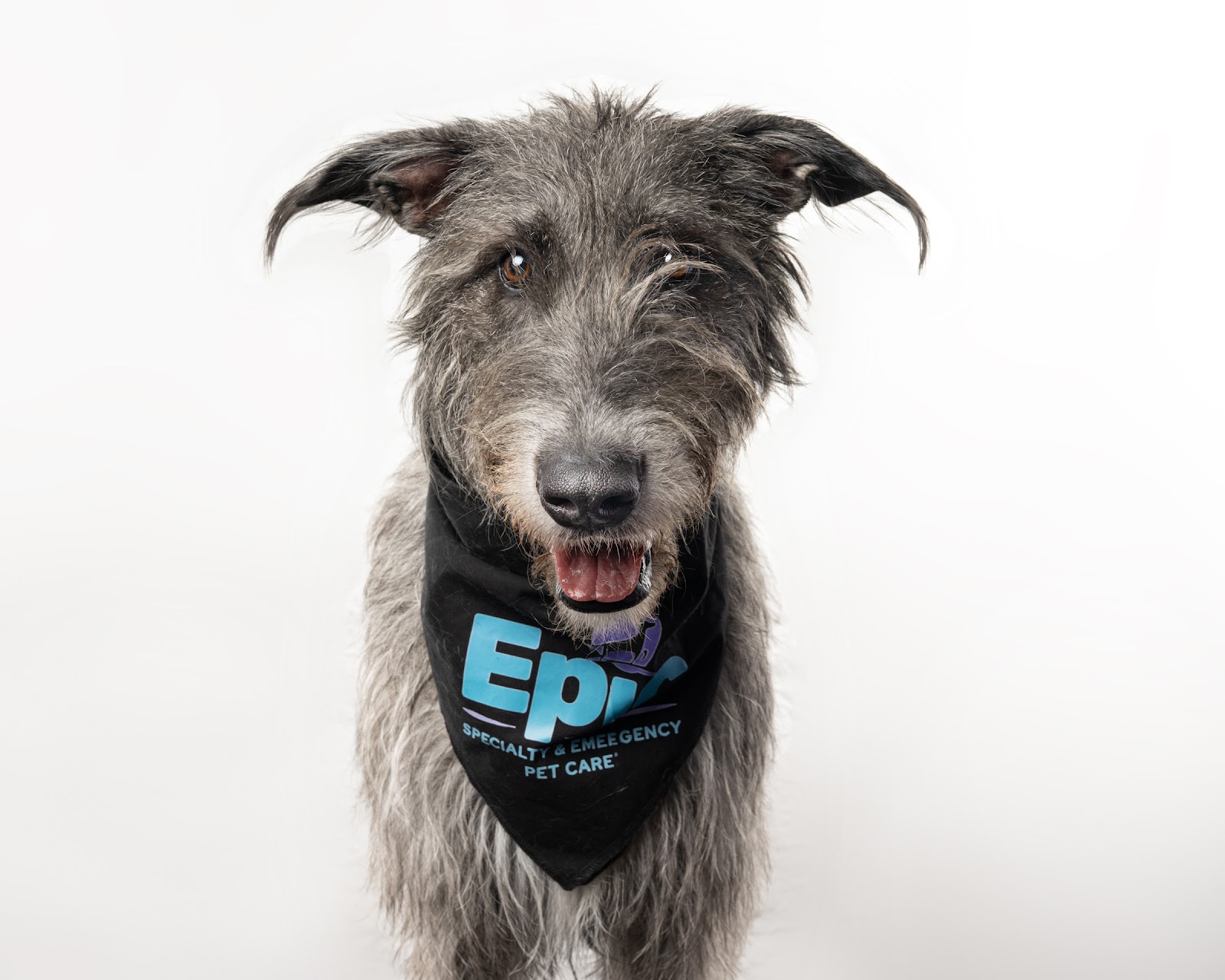 Epic Specialty & Emergency Pet Care