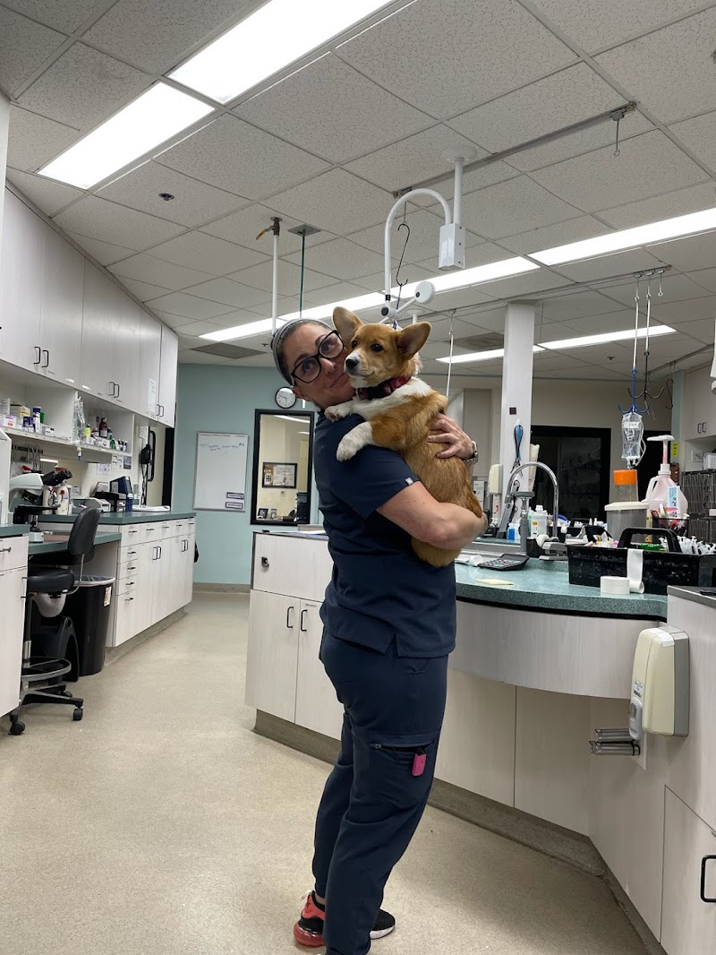 Escondido Veterinary Emergency photo 2