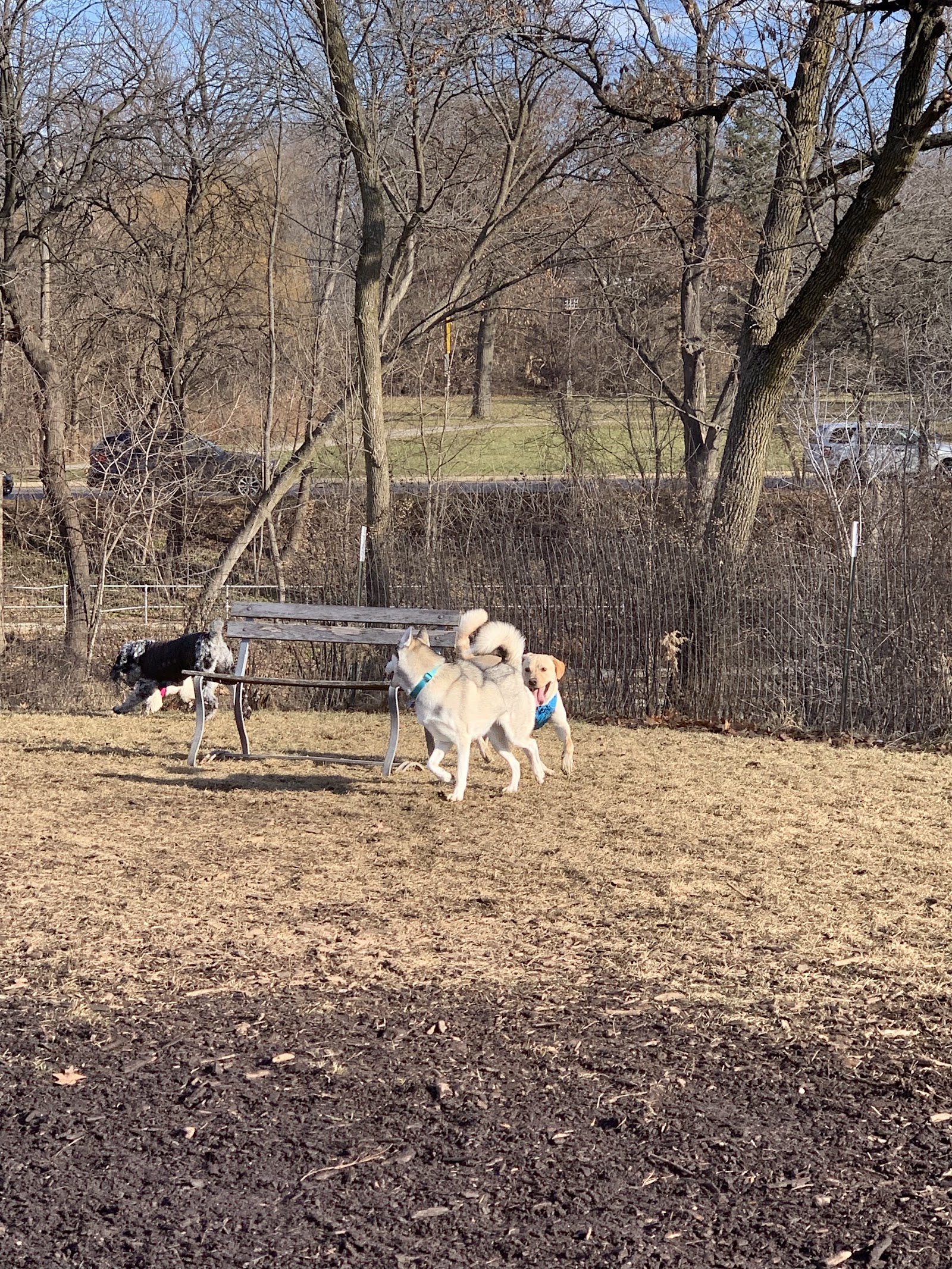 Estabrook Dog Park