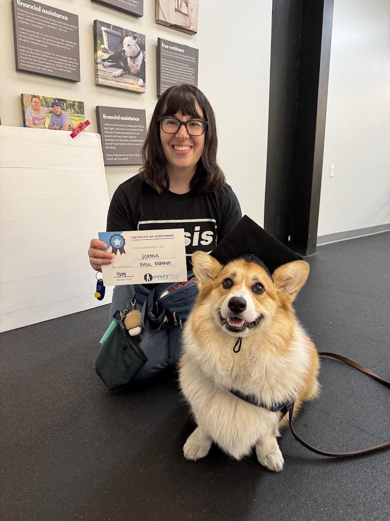 Every Dog Behavior and Training (North)