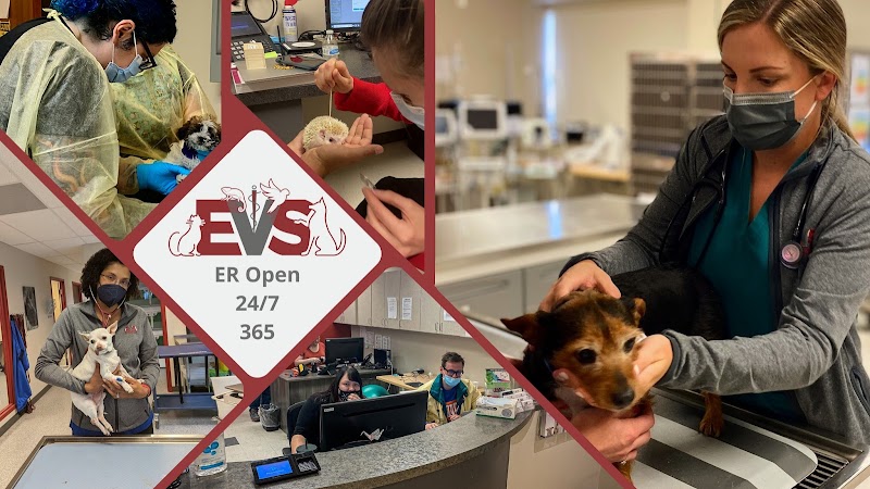 Evolution Veterinary Specialty and Emergency Hospital