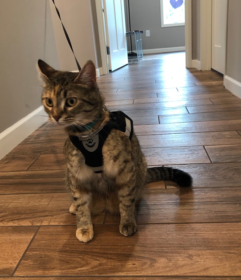 Minnepau Veterinary Clinic photo 3