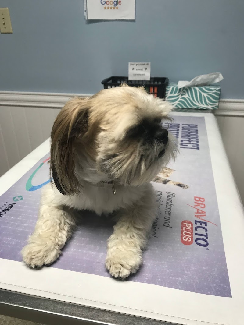 Murray Ridge Animal Clinic photo 3