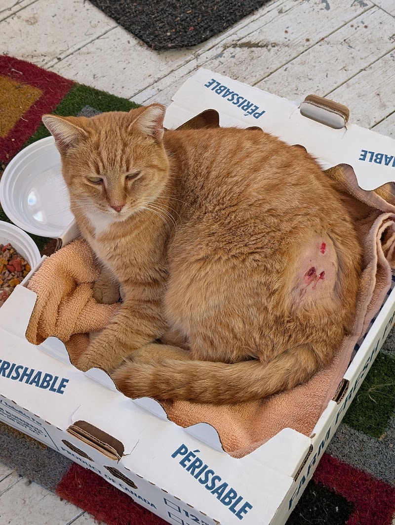 Brack Animal Hospital