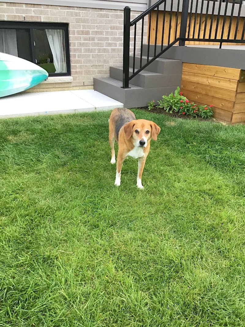 Brack Animal Hospital photo 2