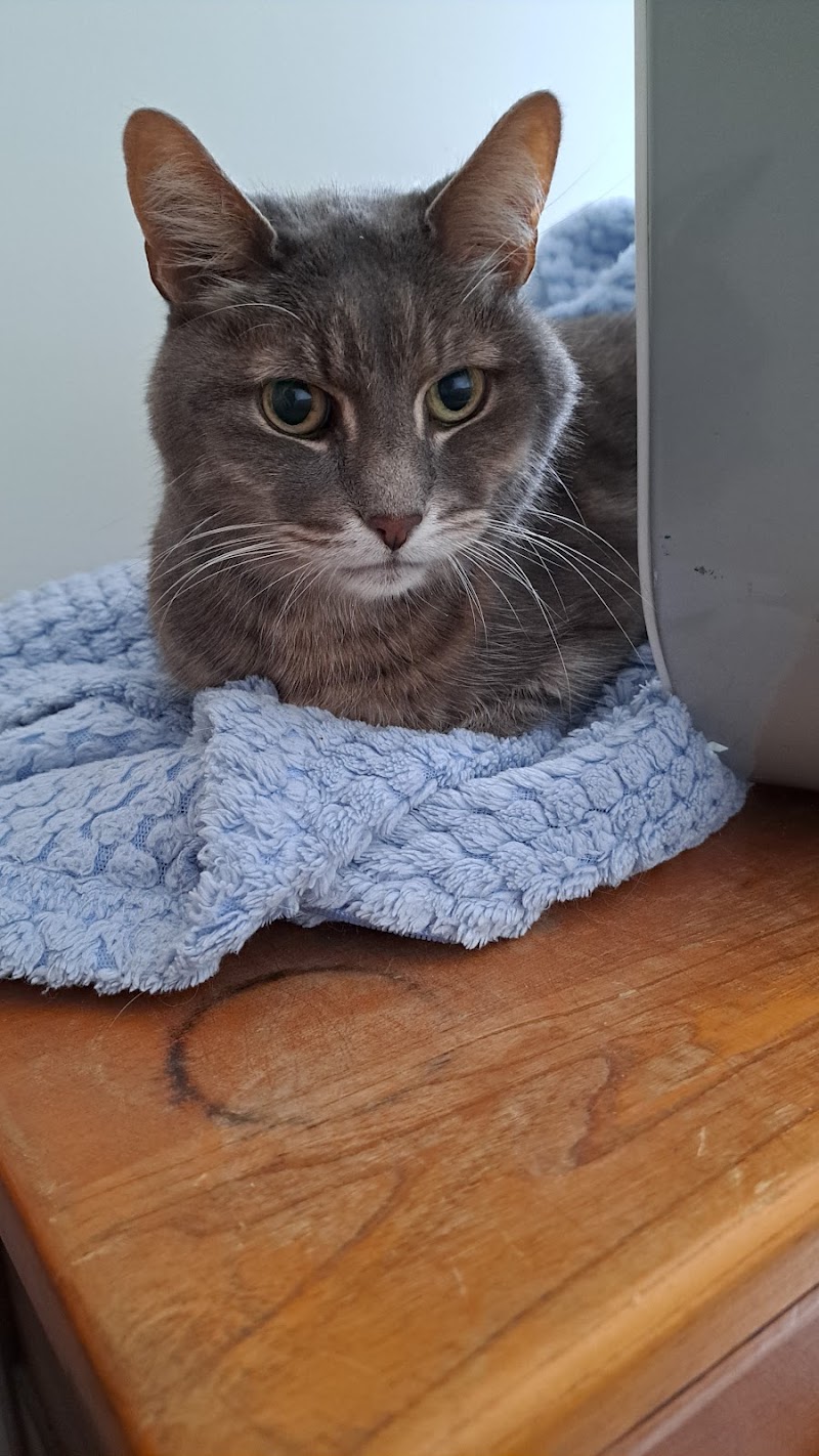 Brack Animal Hospital photo 3