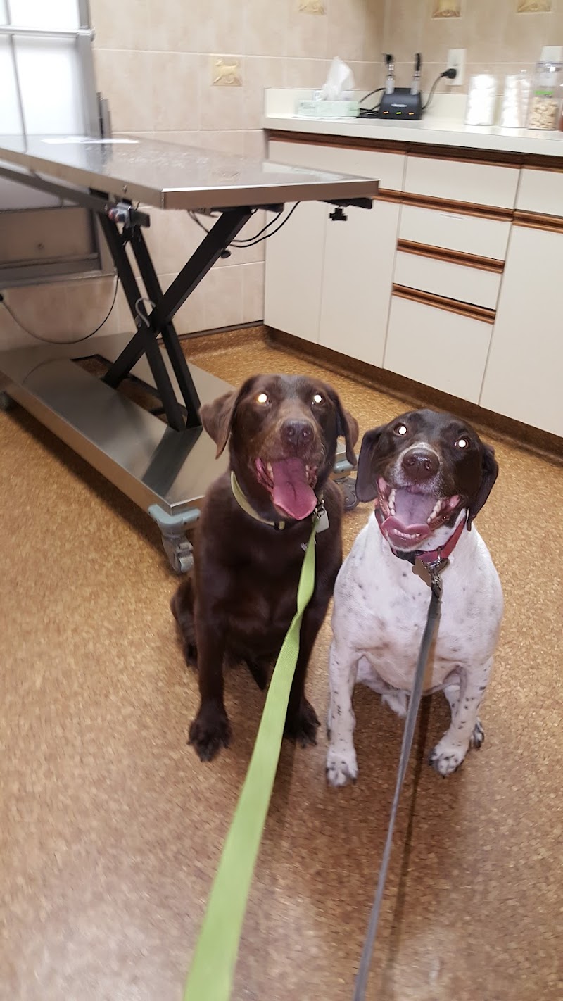 Kuenzi Family Pet Hospital photo 2