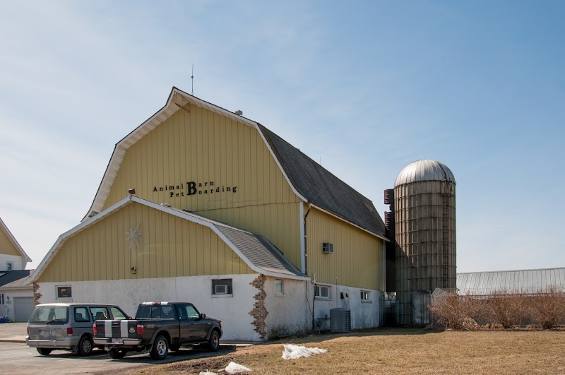 Kuenzi Family Pet Hospital photo 3