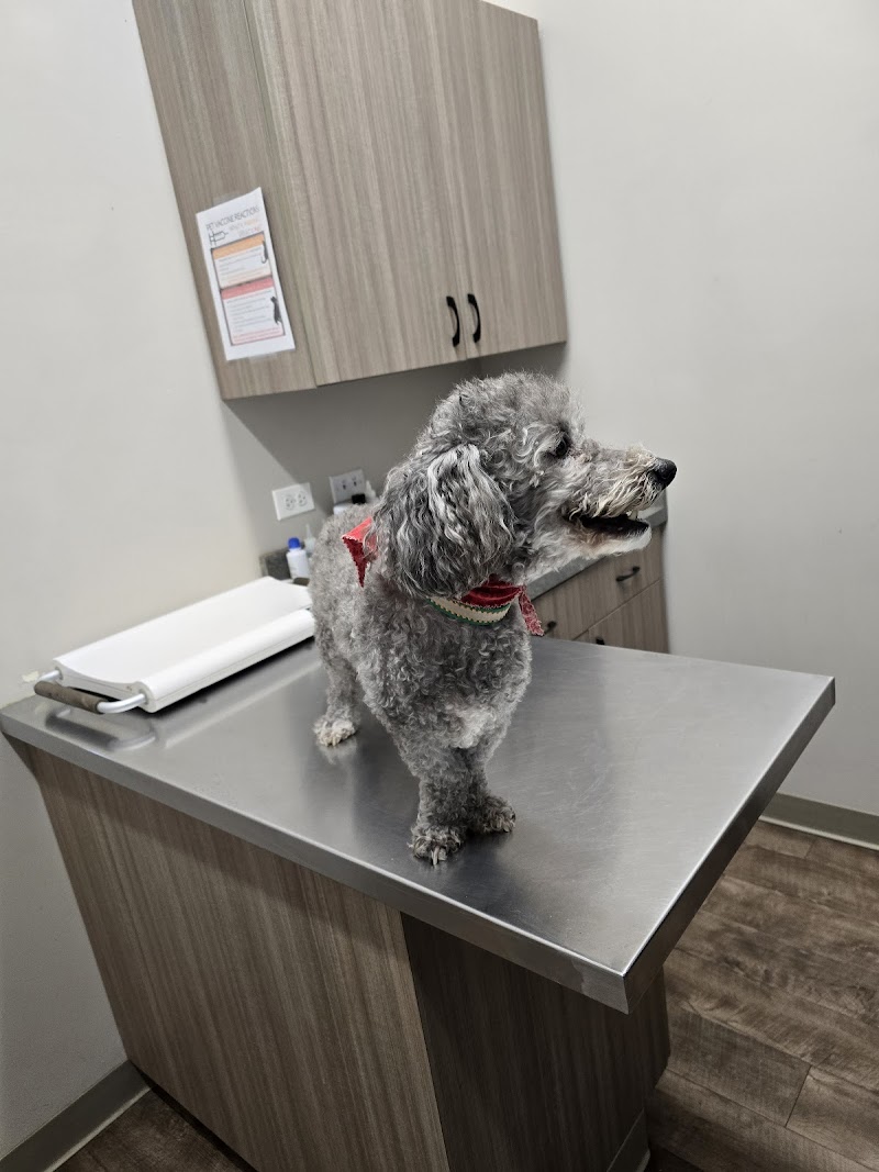 Elgin Animal Clinic photo 2