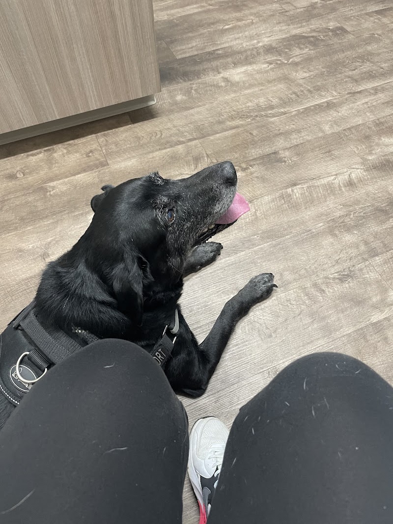 Elgin Animal Clinic photo 3