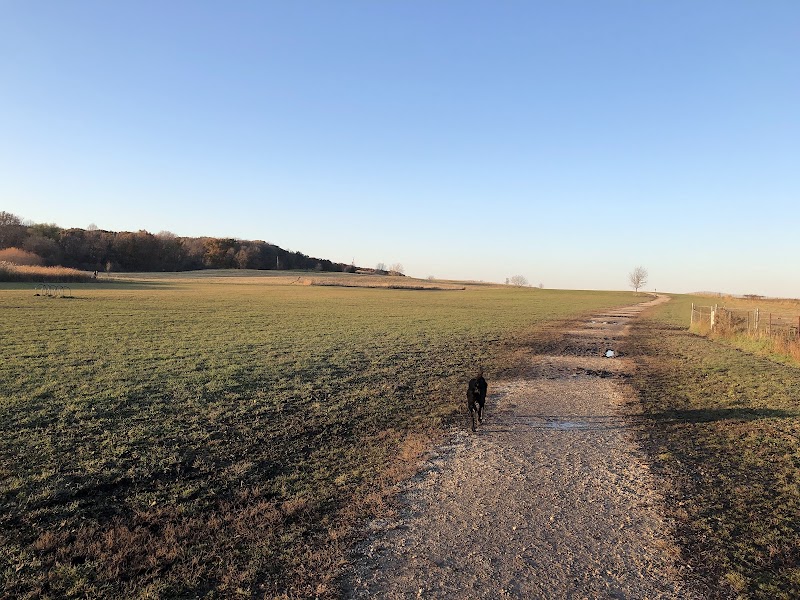 Runway Dog Exercise Area photo 2