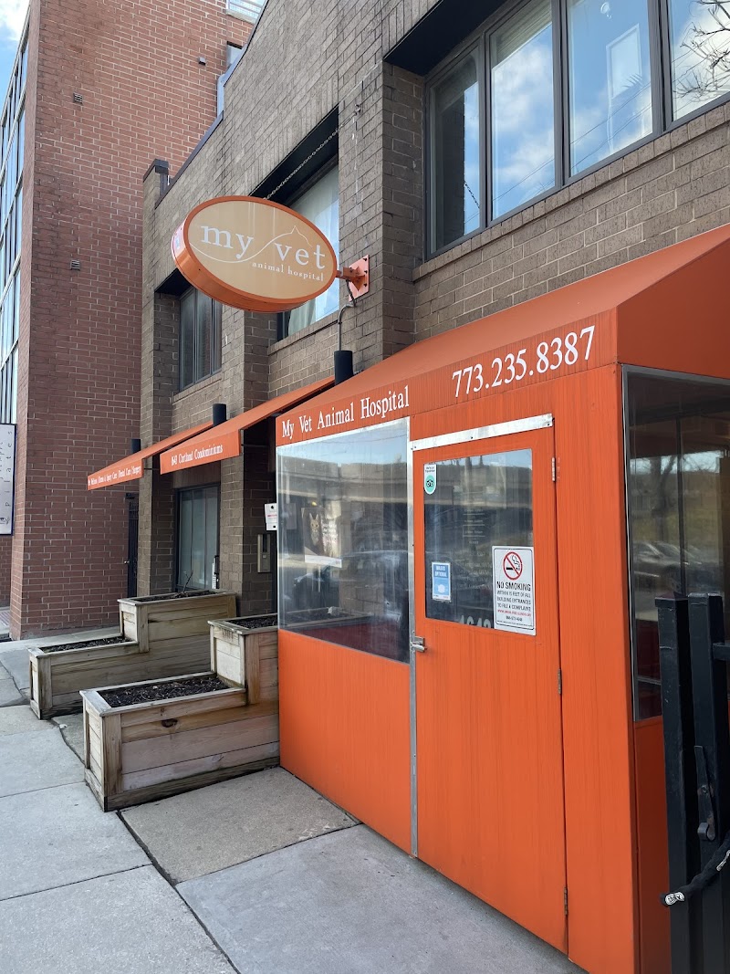 My Vet Animal Hospital photo 2