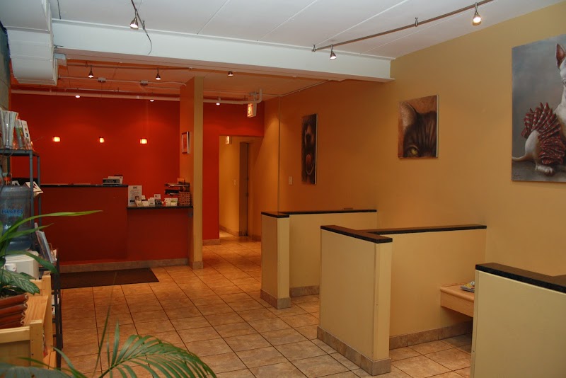 My Vet Animal Hospital photo 3