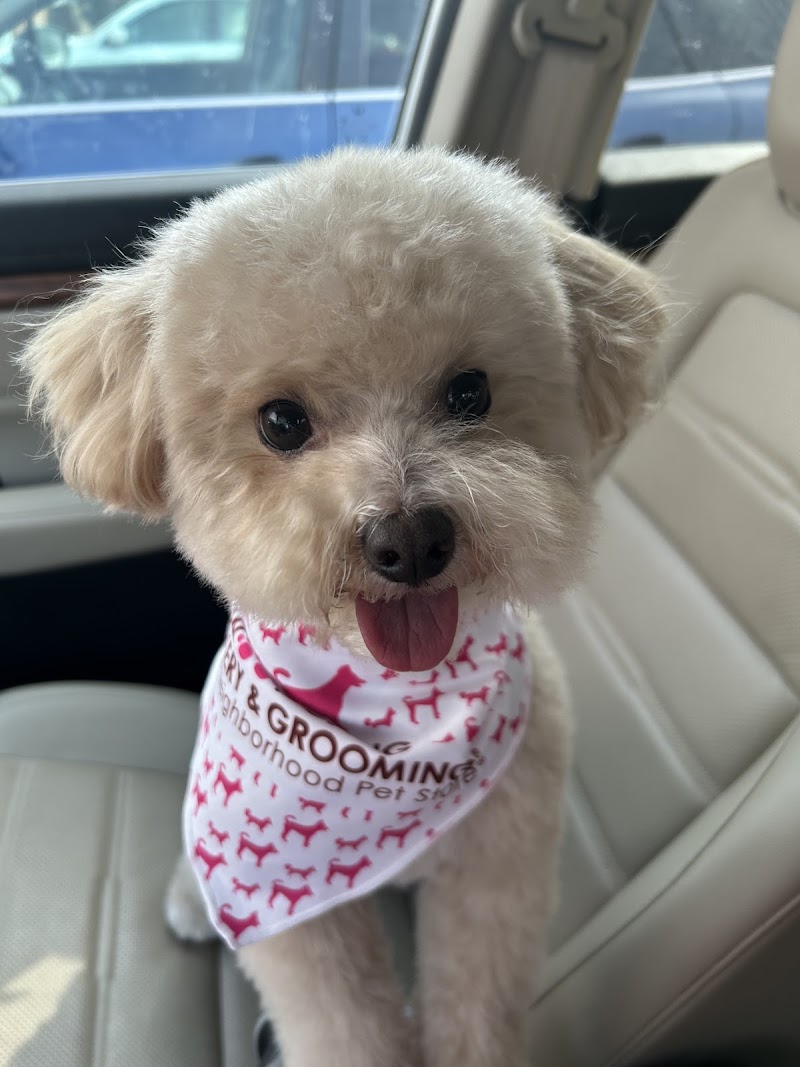 Woof Gang Bakery & Grooming Van Aken