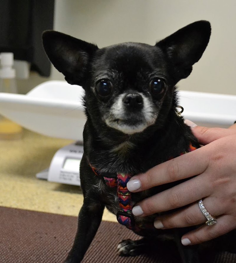 Vet Partners Pet Hospital - Minneapolis