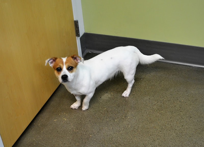 Vet Partners Pet Hospital - Minneapolis photo 2