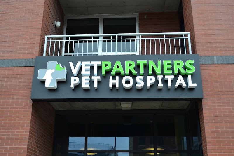 Vet Partners Pet Hospital - Minneapolis photo 3