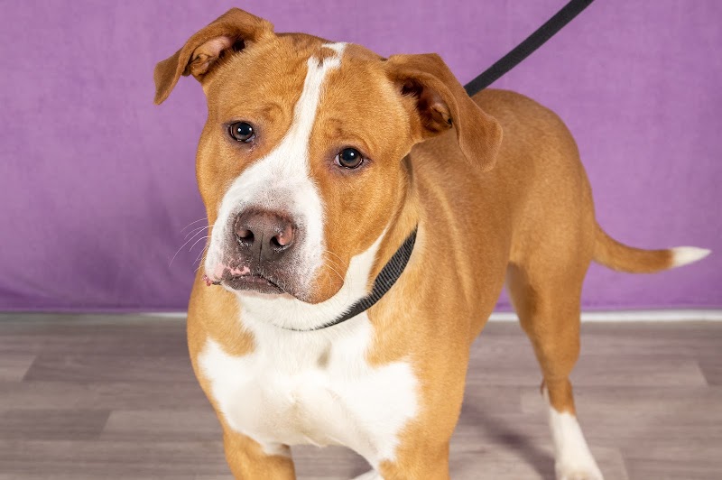 Milwaukee Area Domestic Animal Control Commission-MADACC photo 2