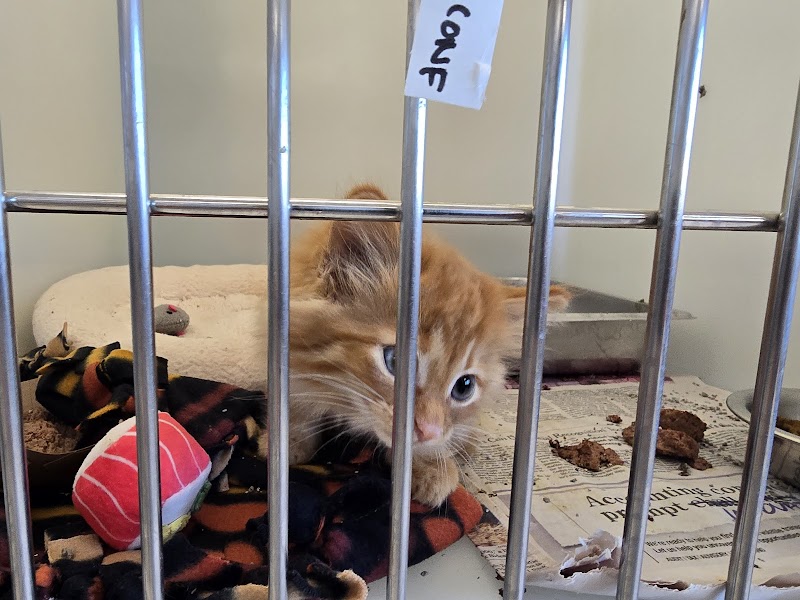 Milwaukee Area Domestic Animal Control Commission-MADACC photo 3