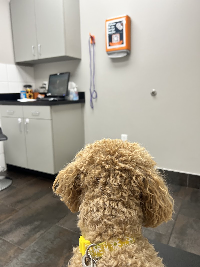 City Way Animal Clinics - Mass Ave photo 2