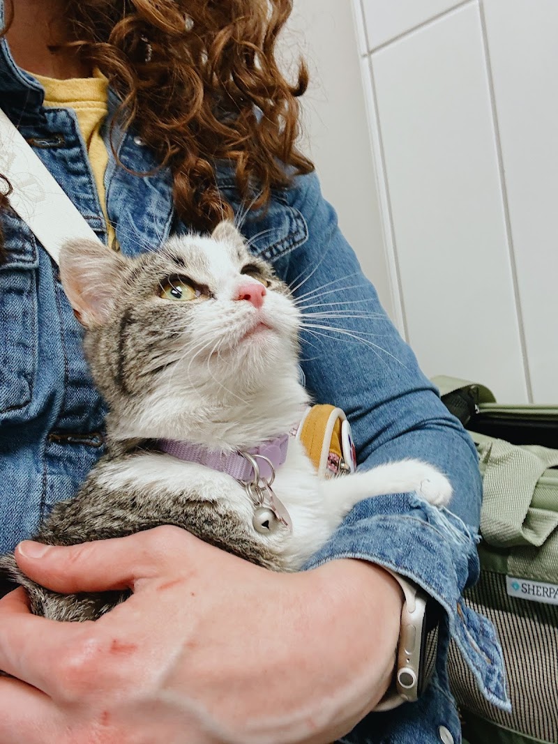 City Way Animal Clinics - Mass Ave photo 3