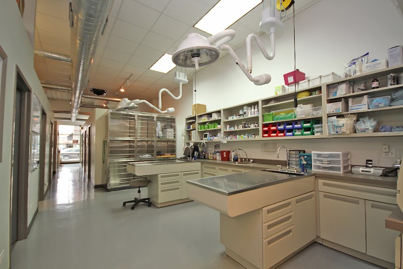 Your Pet's Wellness photo 2