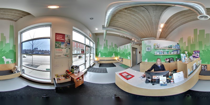 Your Pet's Wellness photo 3