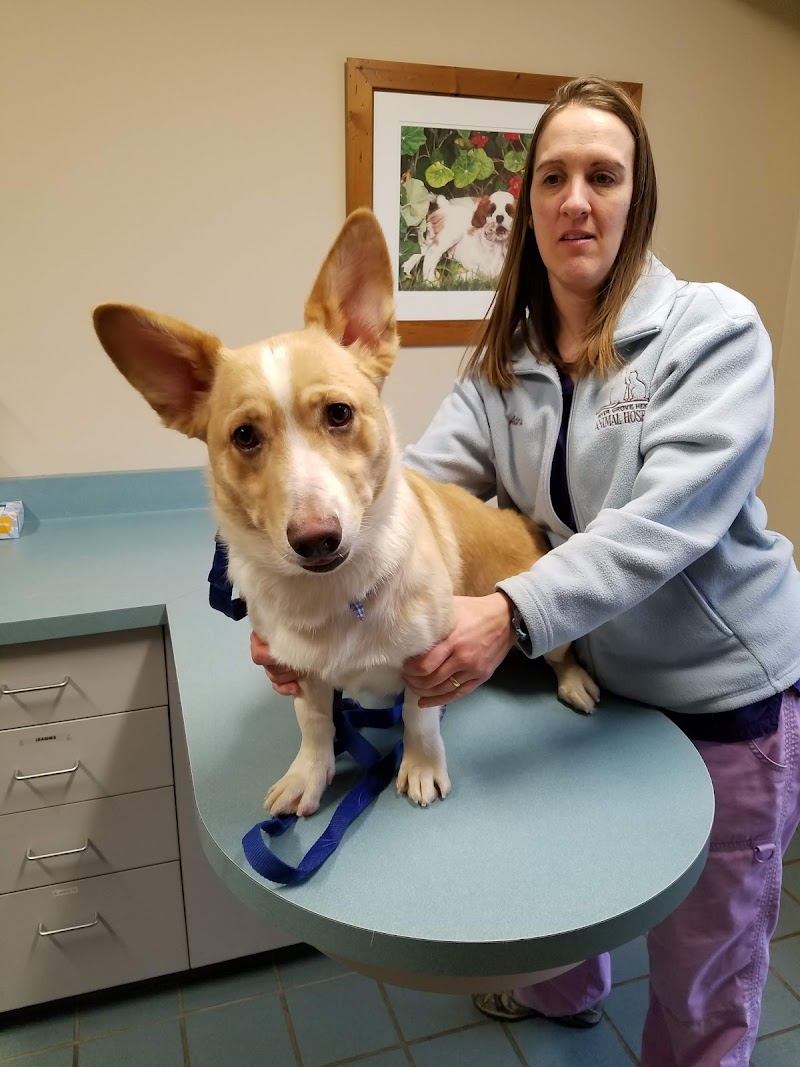 Inver Grove Heights Animal Hospital photo 2